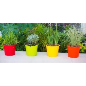 Maceta Rocio N&deg; 13