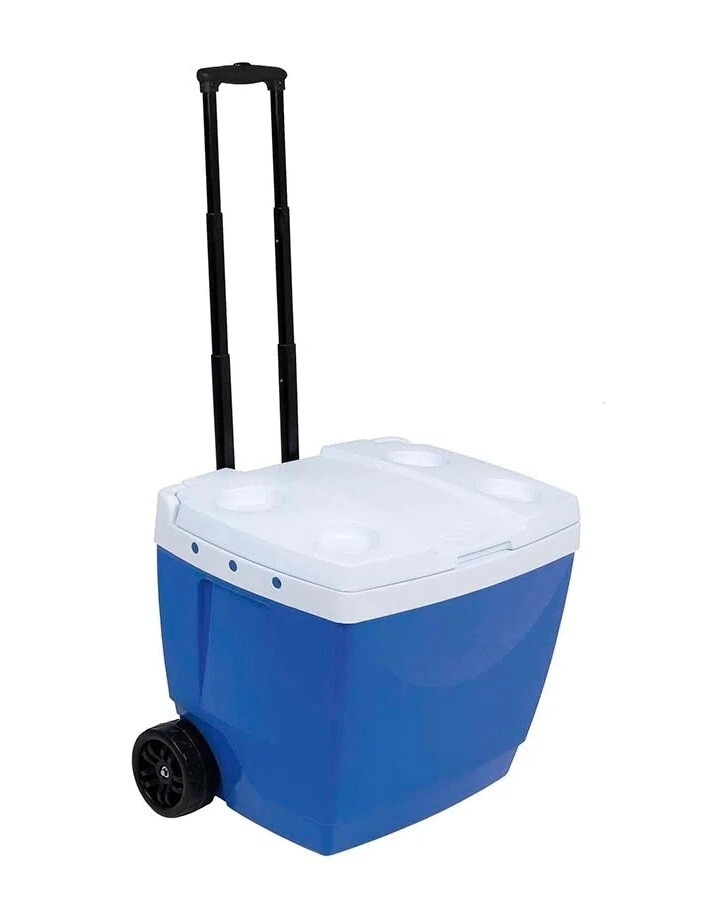 CONSERVADORA 42 LTS CON RUEDAS MOR