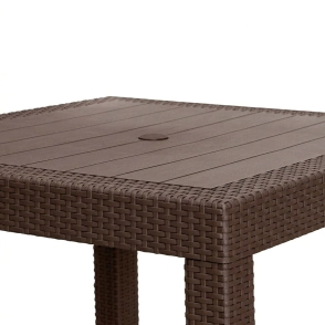 Mesa Alta Rattan