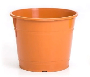 Maceta Rocio N&deg; 19